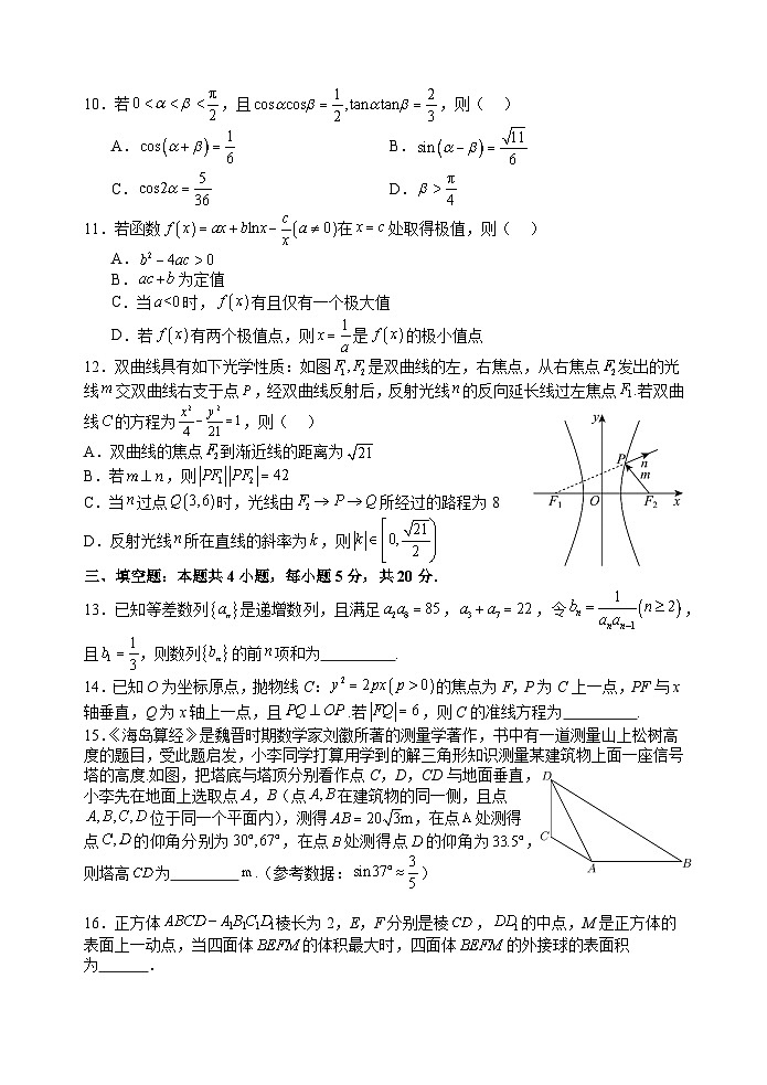 江苏省灌云高级中学2023-2024学年高三下学期数学模拟试卷第2页