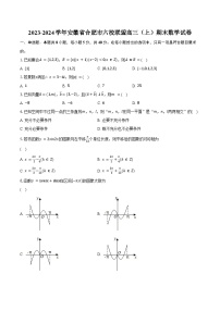 2023-2024学年安徽省合肥市六校联盟高三（上）期末数学试卷(含解析）