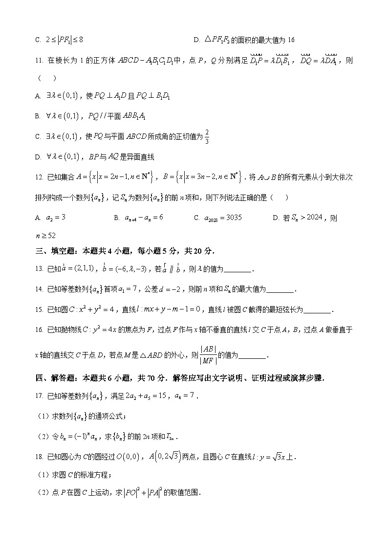 2024济南高二上学期期末考试数学试题03