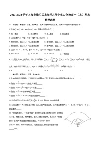 2023-2024学年上海市徐汇区上海师大附中宝山分校高一(上)期末数学试卷(含解析)