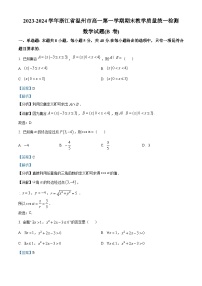 2024温州高一上学期期末检测试题数学（B卷）含解析