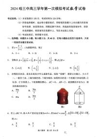 2024年哈三中高三学年第一次模拟考试数学试卷和答案