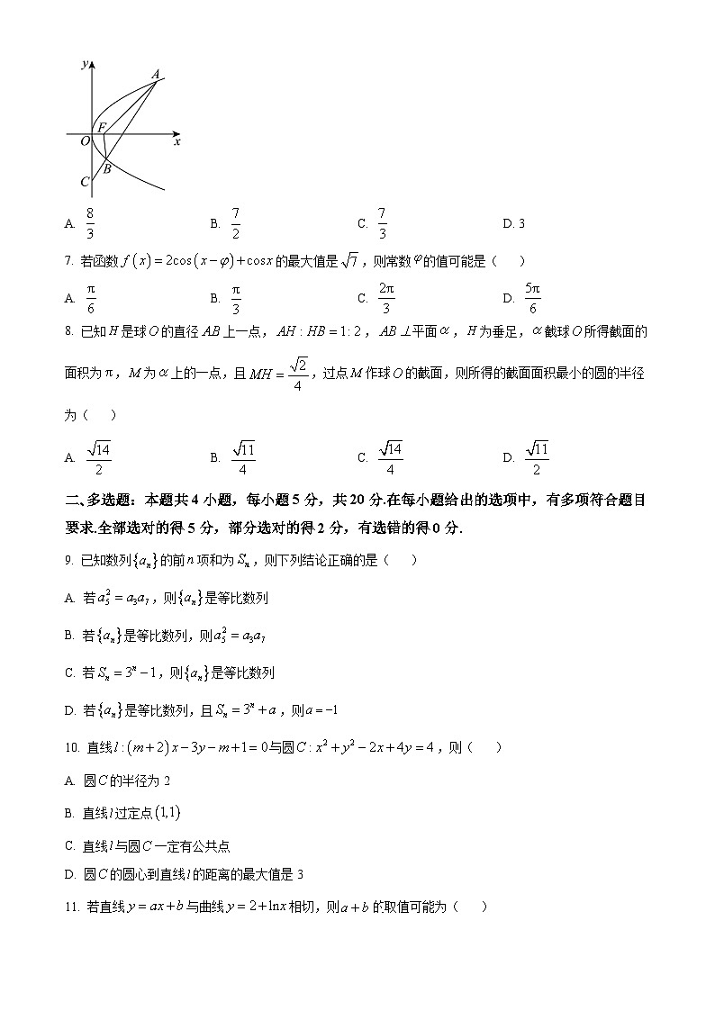 2024深圳宝安区高三上学期期末考试数学含解析第2页