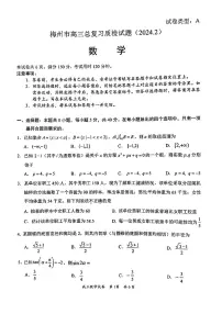 广东省梅州市2024届高三下学期一模考试(2月)数学试卷(PDF版附答案)