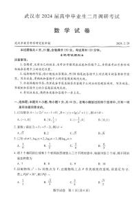 湖北省武汉市2024届高三下学期二月调研考试数学试题（PDF版附答案）