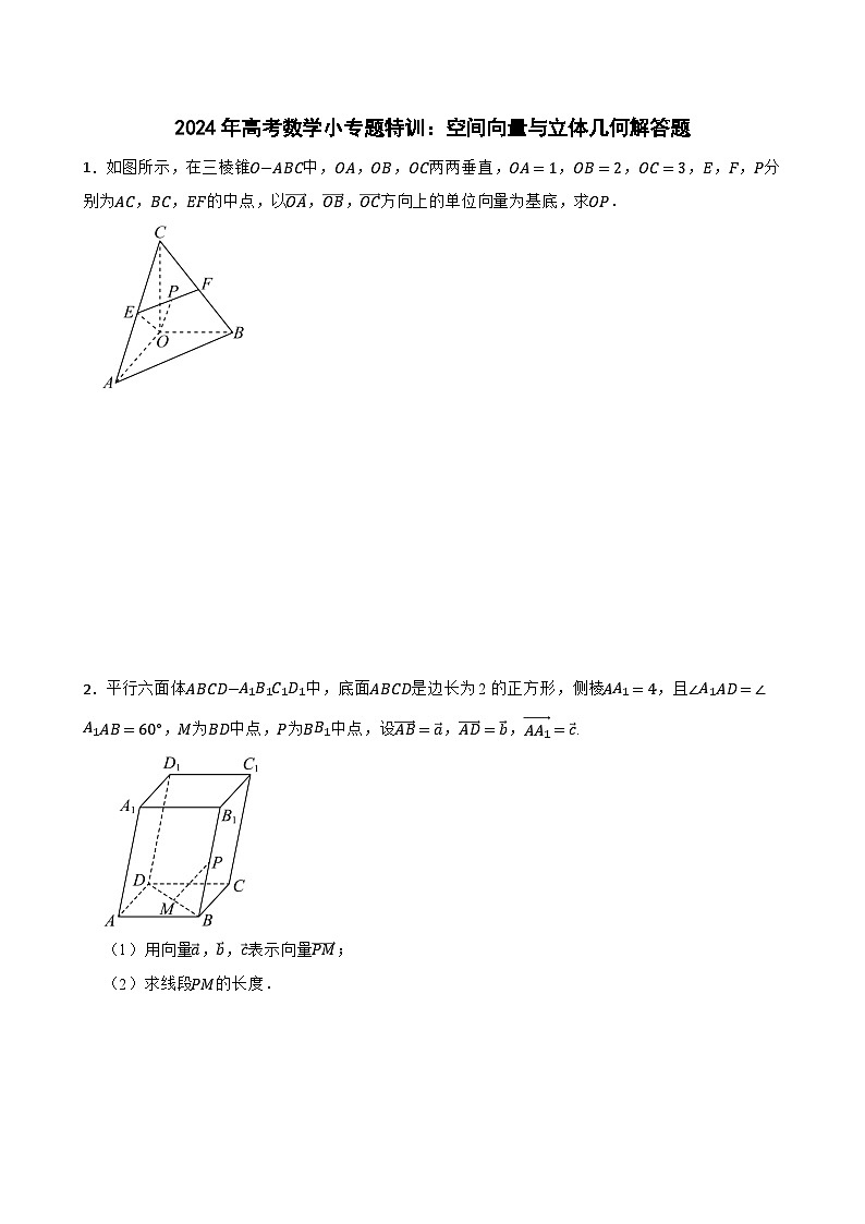 2024年高考数学小专题特训:空间向量与立体几何解答题第1页