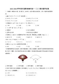 2023-2024学年贵州省黔东南州高一（上）期末数学试卷（含解析）