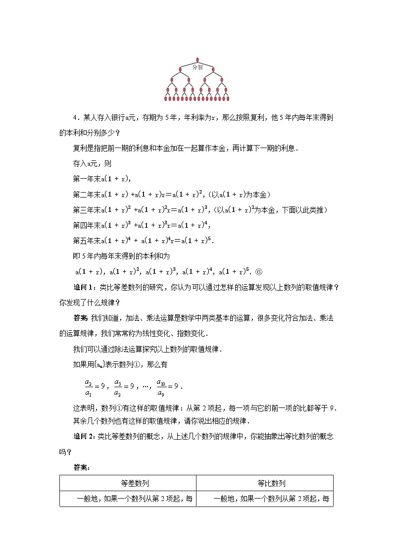 4.3环节一 等比数列的概念教案02