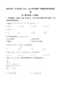 安徽省宿州市省、市示范高中2023-2024学年高一上学期期末数学试卷（Word版附解析）