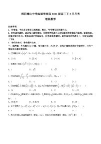 四川省绵阳市南山中学实验学校2023-2024学年高三下学期3月月考数学试题