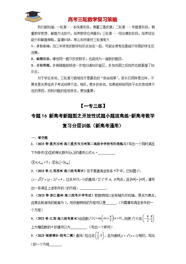 【考前50天】最新高考数学重点专题三轮冲刺演练  专题16 新高考新题型之开放性试题小题  （拔高版）01