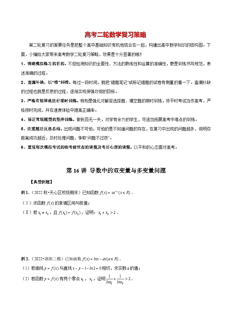 第16讲 导数中的双变量与多变量问题(原卷版)第1页