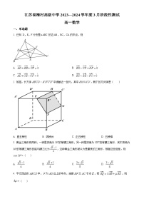 江苏省梅村高级中学2023-2024学年高一下学期3月月考数学试题（原卷版+解析版）