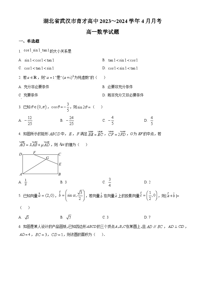 湖北省武汉市育才高级中学2023-2024学年高一下学期4月月考数学试题（原卷版+解析版）01