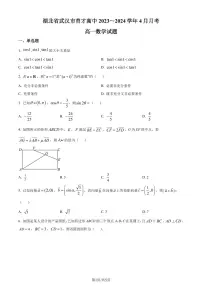 湖北省武汉市育才高级中学2023-2024学年高一下学期4月月考数学试题（附解析版）