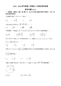 山东省青岛第一中学2023-2024学年高一下学期4月阶段性检测数学试卷(无答案)
