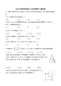 2024年贵州省贵阳六中高考数学一模试卷（含解析）