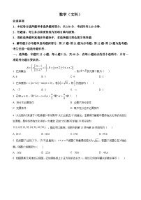 陕西省安康市高新中学、安康中学高新分校2024届高三下学期模拟预测数学（文科）试题（原卷版+解析版）