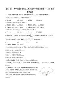 2023-2024学年上海市徐汇区上海师大附中宝山分校高一(上)期末数学试卷(含详细答案解析)