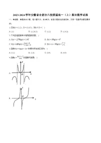 2023-2024学年安徽省合肥市六校联盟高一（上）期末数学试卷(含详细答案解析)