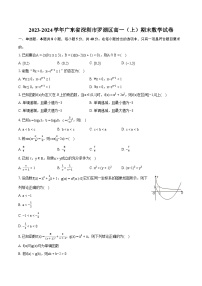 2023-2024学年广东省深圳市罗湖区高一（上）期末数学试卷（含详细答案解析）