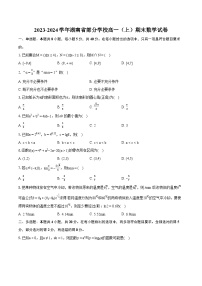 2023-2024学年湖南省部分学校高一（上）期末数学试卷(含详细答案解析)
