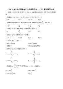 2023-2024学年湖南省长沙市浏阳市高一（上）期末数学试卷(含详细答案解析)
