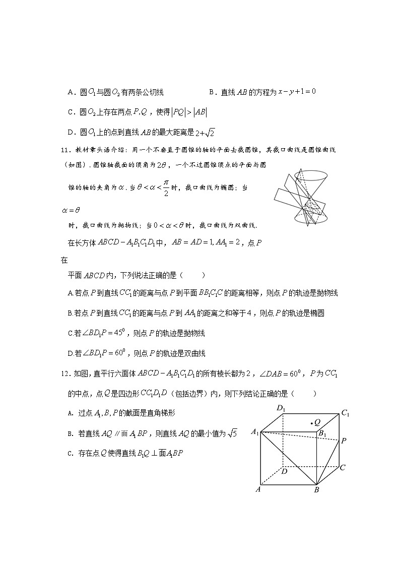 2024绍兴上虞区高二上学期期末数学试题含答案03
