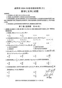 陕西省咸阳市2024届高三下学期三模考试数学（文）试卷（PDF版附答案）