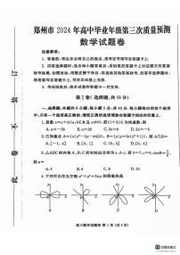 2024年郑州高三下学期三模数学试卷