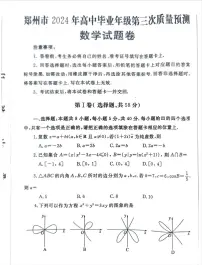 河南省郑州市2024届高三下学期三模数学试题（PDF版附答案）