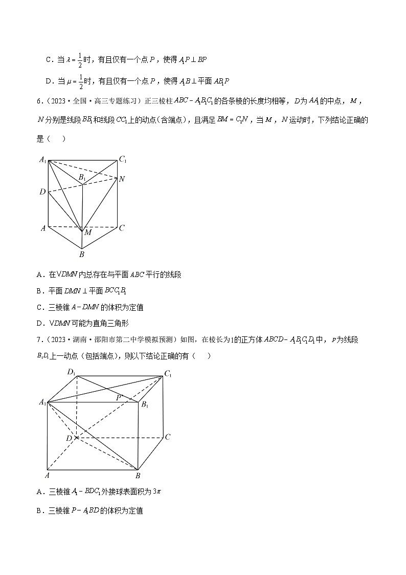 【二轮复习】高考数学专题14 立体几何常见压轴小题全归纳(考点专练)(原卷版)第3页