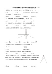2024届湖南师大附中高三数学模拟试卷二