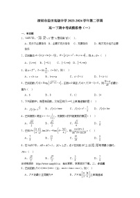 廣東省深圳市鹽田高級(jí)中學(xué)2023-2024學(xué)年高一下學(xué)期期中考試數(shù)學(xué)模擬卷（一）