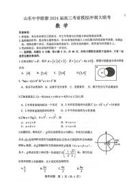 2024届山东省山东中学联盟高三下学期5月考前模拟冲刺大联考数学