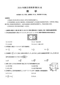 湖北省部分学校2024届高三下学期模拟考试数学试题