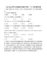 2023-2024學年江蘇省南京市金陵中學高一（下）期中數(shù)學試卷（含解析）