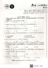1号卷·A10联盟2024届高三最后一卷数学试卷+答案