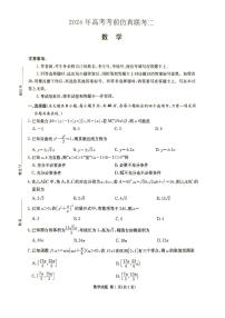 湖南省炎德2024年高考考前仿真联考二数学试题（附参考答案）