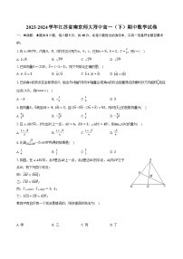 2023-2024学年江苏省南京师大附中高一（下）期中数学试卷（含解析）