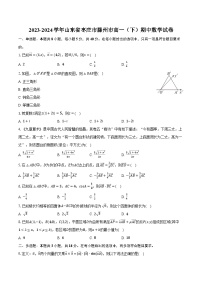 2023-2024学年山东省枣庄市滕州市高一（下）期中数学试卷（含解析）