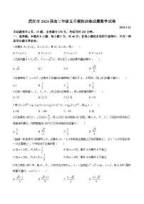 湖北省武汉市2024届高三下学期5月模拟训练数学试卷含参考答案
