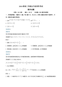 湖北省武汉市华中师范大学第一附属中学2024届高三下学期5月适应性考试数学试卷（Word版附解析）