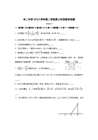 上海市华东师范大学第二附属中学2023-2024学年高三下学期四模数学试题