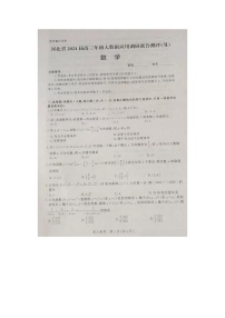 2024届河北省高三大数据应用调研联合测评数学试题