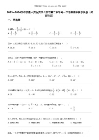 2023_2024学年安徽六安金安区六安市第二中学高一下学期期中数学试卷（河西校区）