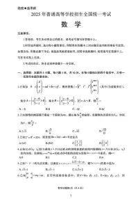2025普通高校全国统一招生考试高考模拟数学试卷