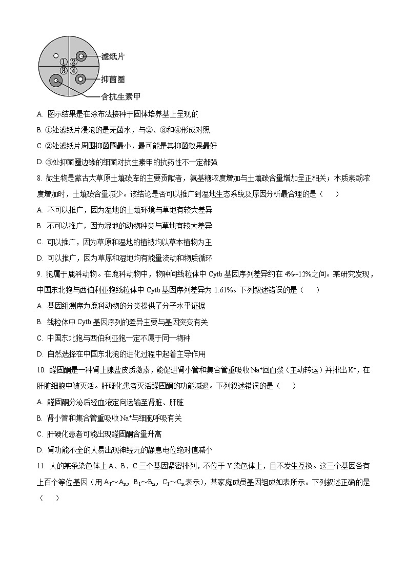 2024浙江省北斗星联盟高三下学期5月适应性联考数学试卷含解析03