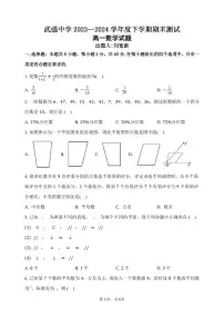 河北省衡水市武强中学2023-2024学年高一下学期期末考试数学试卷（PDF版附答案）