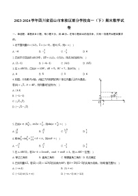 2023-2024学年四川省眉山市东坡区部分学校高一（下）期末数学试卷（含答案）